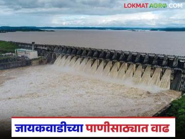 Jayakwadi Dam Water Release : जायकवाडीचे दरवाजे उघडले; ३७ हजार क्युसेकने पाण्याचा विसर्ग सुरू - Marathi News | latest news Jayakwadi Dam Water Release: Jayakwadi gates opened; 37 thousand cusecs of water released | Latest News at Lokmat.com