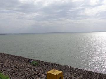 मराठवाडा विदर्भाच्या सीमेवरील निम्न पैनगंगा प्रकल्पाला नक्की कशामुळे होतोय विरोध? - Marathi News | What exactly causes the opposition to the following lower Panganga project? | Latest News at Lokmat.com