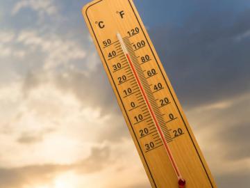 मराठवाड्यात चार दिवस हवामान कोरडे, फळबागा, भाजीपाल्याची अशी घ्या काळजी.. - Marathi News | Weather dry for four days in Marathwada, take care of orchards, vegetables.. | Latest News at Lokmat.com