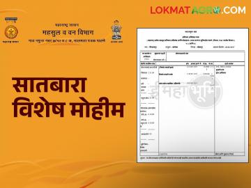 आजपासून राज्यात जिवंत सातबारा मोहीम; शेतकऱ्यांना कसा फायदा होणार? वाचा सविस्तर - Marathi News | Jivant Satbara campaign in the state from today; How will farmers benefit? Read in detail | Latest News at Lokmat.com