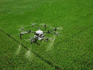 शेत शिवारात २०० ड्रोन घालणार घिरट्या  - Marathi News | Ghirtya will put 200 drones in the fields | Latest News at Lokmat.com