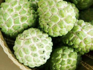 दीड एकरात केली कमाल! तेलंगणातील ग्राहकांना आष्टीच्या सीताफळाची गोडी - Marathi News | One and a half acres maximum! Customers in Telangana enjoy Ashti's Sitafal | Latest News at Lokmat.com