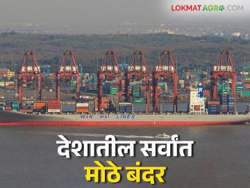 वर्षभरात ८० लाख कंटेनरची वाहतूक करणारे राज्यातील हे बंदर ठरले देशातील सर्वांत मोठे बंदर - Marathi News | This port in the state has become the largest port in the country, transporting 8 million containers per year | Latest News at Lokmat.com वर्षभरात ८० लाख कंटेनरची वाहतूक करणारे राज्यातील हे बंदर ठरले देशातील सर्वांत मोठे बंदर - Marathi News | This port in the state has become the largest port in the country, transporting 8 million containers per year | Latest News at Lokmat.com
