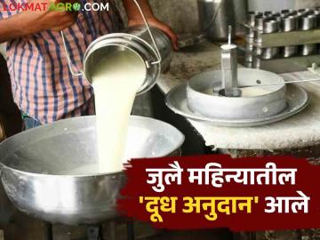 July 2024 Milk Subsidy : जुलैच्या पहिल्या दहा दिवसांचे गाय दुधाचे अनुदान झाले जमा वाचा सविस्तर - Marathi News | July 2024 Milk Subsidy: Cow milk subsidy for the first ten days of July has been collected, read in detail | Latest News at Lokmat.com