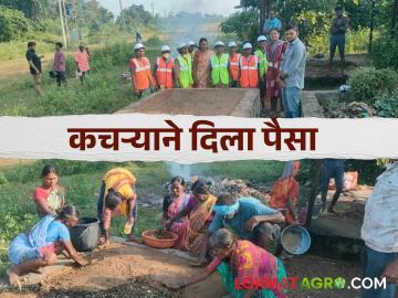 Agriculture News : घरातल्या कचऱ्याने महिलांना केलं समृद्ध, बचत गटातून कंपोस्ट खताची विक्री  - Marathi News | Latest News mahila bachat gat Organic compost fertilizer made from wet and dry waste by womens | Latest News at Lokmat.com