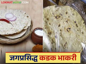 Solapur Kadak Bhakri : गरिबांच्या ताटातील भाकरी आता श्रीमंताच्या ताटात; कडक भाकरी उद्योग लय भारी - Marathi News | Solapur Kadak Bhakri : Bhakri from the poor's plate is now on the rich's plate; The bhakari industry is in a big opportunities | Latest News at Lokmat.com Solapur Kadak Bhakri : गरिबांच्या ताटातील भाकरी आता श्रीमंताच्या ताटात; कडक भाकरी उद्योग लय भारी - Marathi News | Solapur Kadak Bhakri : Bhakri from the poor's plate is now on the rich's plate; The bhakari industry is in a big opportunities | Latest News at Lokmat.com