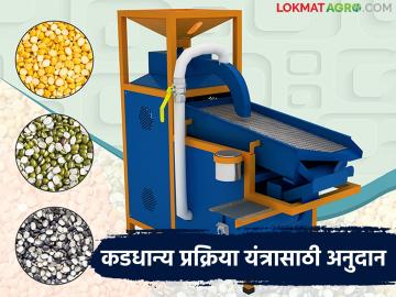 कडधान्य प्रक्रिया युनिटसाठी मिळतंय २५ लाखांचे अनुदान; काय आहे योजना? जाणून घ्या सविस्तर - Marathi News | A subsidy of Rs 25 lakh is being provided for the pulse processing unit; What is the scheme? Know the details | Latest News at Lokmat.com कडधान्य प्रक्रिया युनिटसाठी मिळतंय २५ लाखांचे अनुदान; काय आहे योजना? जाणून घ्या सविस्तर - Marathi News | A subsidy of Rs 25 lakh is being provided for the pulse processing unit; What is the scheme? Know the details | Latest News at Lokmat.com