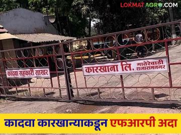 Kadawa Sugar Factory : नाशिकच्या कादवा कारखान्याने किती एफआरपी अदा केली? वाचा सविस्तर - Marathi News | Latest News Agriculture News Pay full FRP from Kadawa Sugar Factory in Nashik, read in detail | Latest News at Lokmat.com Kadawa Sugar Factory : नाशिकच्या कादवा कारखान्याने किती एफआरपी अदा केली? वाचा सविस्तर - Marathi News | Latest News Agriculture News Pay full FRP from Kadawa Sugar Factory in Nashik, read in detail | Latest News at Lokmat.com