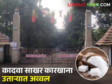 यंदा साखर उत्पादनात द्वारकाधीश तर कादवा साखर कारखाना उताऱ्यात अव्वल - Marathi News | latest News Dwarkadhish and Kadwa Sugar Factory of nashik are top in sugar production | Latest News at Lokmat.com