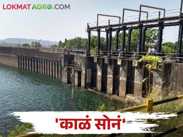 या धरणातून काढला तब्बल २८ लाख टन गाळ - Marathi News | 28 lakh tons of soil was removed from this dam | Latest News at Lokmat.com