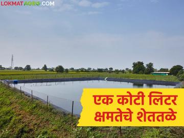 सरपंचाने गावाचा दुष्काळचं मिटवला, नाशिकच्या 'या' गावात एक कोटी लिटर क्षमतेचे शेततळे उभारले! - Marathi News | Latest News Farm ponds with a capacity of one crore liters were constructed in Kajawade village of Nashik | Latest News at Lokmat.com