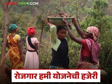 Rojgar Hami Yojana : रोजगार हमी योजनेच्या मजुरांची आता फेस ई-केवायसी, काय आहे नवा निर्णय - Marathi News | Latest news Rojgar Hami Yojana Employment Guarantee Scheme workers now face e-KYC for presenty | Latest News at Lokmat.com Rojgar Hami Yojana : रोजगार हमी योजनेच्या मजुरांची आता फेस ई-केवायसी, काय आहे नवा निर्णय - Marathi News | Latest news Rojgar Hami Yojana Employment Guarantee Scheme workers now face e-KYC for presenty | Latest News at Lokmat.com