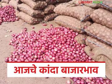 Kanda Market : लाल कांद्याला सहा रुपये, तर उन्हाळ कांद्याला 7 रुपये किलोचा दर, वाचा आजचे कांदा बाजारभाव  - Marathi News | latest News Kanda Market lal and unhal kanda today's onion market price | Latest News at Lokmat.com