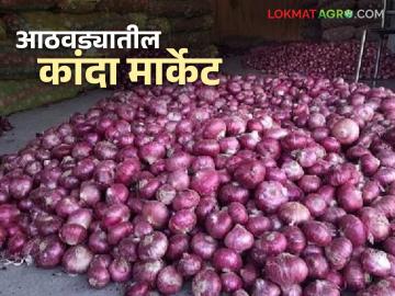 Kanda Market : मागील सहा दिवसांत कांदा आवक किती झाली, काय दर मिळाले?  - Marathi News | Latest news Kanda Market onion has arrived in last six days, see onion prices in last week | Latest News at Lokmat.com