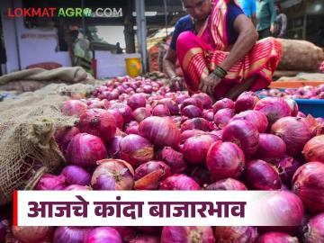 Kanda Bajarbhav : रामनवमीला कांद्याला चांगला भाव की घसरण? बाजारात मोठे चढ-उतार! - Marathi News | latest news Kanda Bajarbhav: Good price or fall for onion on Ram Navami? Big fluctuations in the market! | Latest News at Lokmat.com Kanda Bajarbhav : रामनवमीला कांद्याला चांगला भाव की घसरण? बाजारात मोठे चढ-उतार! - Marathi News | latest news Kanda Bajarbhav: Good price or fall for onion on Ram Navami? Big fluctuations in the market! | Latest News at Lokmat.com