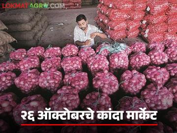 पुणे, सोलापूर, अहिल्यानगर जिल्ह्यातील 26 ऑक्टोबरचे कांदा मार्केट, वाचा सविस्तर - Marathi News | Latest News Onion market on 26th October in Pune, Solapur, Ahilyanagar district, read in detail | Latest News at Lokmat.com पुणे, सोलापूर, अहिल्यानगर जिल्ह्यातील 26 ऑक्टोबरचे कांदा मार्केट, वाचा सविस्तर - Marathi News | Latest News Onion market on 26th October in Pune, Solapur, Ahilyanagar district, read in detail | Latest News at Lokmat.com