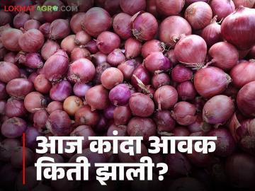 Kanda Market : आज तुमच्या जवळच्या कांदा मार्केटमध्ये काय दर मिळाले, वाचा सविस्तर - Marathi News | Latest News Kanda Market see todays Onion market prices on 3rd septmber see details | Latest News at Lokmat.com