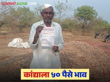 कांद्याच्या ७३ गोण्या विकून हाती आले फक्त चारशे रुपये; शेतकरी आलाय रडकुंडीला - Marathi News | Only Rs 400 was earned after selling 73 bags of onions; The farmer has come to crying | Latest News at Lokmat.com