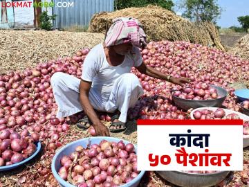 शेतकऱ्याच्या कांदा ५० पैशांवर; भविष्यात दर सुधारतील का? काय म्हणता आहेत निर्यातदार - Marathi News | Farmers' onions at 50 paise; Will prices improve in future? What do exporters say? | Latest News at Lokmat.com