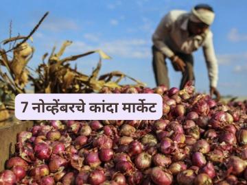 Kanda Market : सोलापूर कांदा मार्केट पुन्हा घसरले, लासलगाव मार्केटमध्ये काय दर मिळाले? वाचा सविस्तर Kanda Market : सोलापूर कांदा मार्केट पुन्हा घसरले, लासलगाव मार्केटमध्ये काय दर मिळाले? वाचा सविस्तर