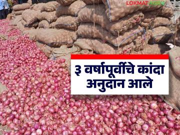 मागील ३ वर्षापूर्वी राज्यात 'या' बाजार समितीत विक्री केलेल्या कांद्याचे अनुदान आले; पैसे थेट शेतकऱ्यांच्या खात्यावर - Marathi News | Subsidy was received for onions sold in 'this' market committee in the state 3 years ago; money directly transferred to farmers' accounts | Latest News at Lokmat.com मागील ३ वर्षापूर्वी राज्यात 'या' बाजार समितीत विक्री केलेल्या कांद्याचे अनुदान आले; पैसे थेट शेतकऱ्यांच्या खात्यावर - Marathi News | Subsidy was received for onions sold in 'this' market committee in the state 3 years ago; money directly transferred to farmers' accounts | Latest News at Lokmat.com