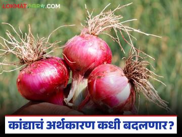 एकरी खर्च जातो लाखावर, दर मात्र १२ रुपयांवर; शेतकऱ्यांनी मांडलं कांद्याचं भयानक वास्तव - Marathi News | The cost per acre is over a lakh, but the price is only Rs 12; Farmers reveal the terrible reality of onions | Latest News at Lokmat.com