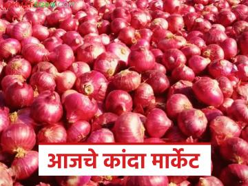 Kanda Market : लासलगाव आणि सोलापूर मार्केटमध्ये कांद्याला क्विंटलमागे काय दर मिळतोय? वाचा सविस्तर  - Marathi News | Latest News Kanda Market onion in Lasalgaon and Solapur markets per kilo Read in detail | Latest News at Lokmat.com