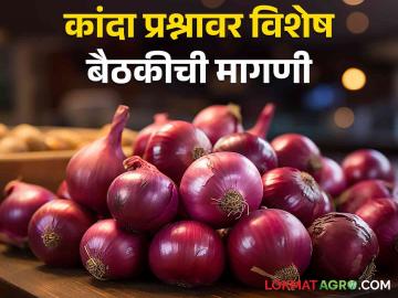 Onion Issue : कांदा प्रश्नावर विशेष बैठकीची मागणी, संघटनेकडून मुख्यमंत्र्यांना पत्र  - Marathi News | Latest News Agriculture News Demand for special meeting on onion issue with Chief Minister  | Latest News at Lokmat.com