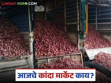 Kanda Market : कांद्याला कुठल्या जिल्ह्यात सर्वात कमी दर मिळतोय, वाचा आजचे बाजारभाव  - Marathi News | Latest News Kanda Market which district is onion getting lowest price see details | Latest News at Lokmat.com