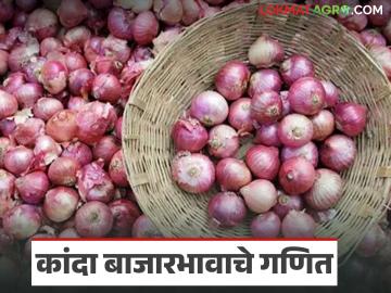 Kanda Market Prices : कांद्याला सरासरी 900 ते हजार रुपयांचा दर, किंमती कमी का आहेत?  - Marathi News | Latest News Kanda Market prices average price of onion across is 900 to 1000 rupees | Latest News at Lokmat.com