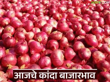 Kanda Market : पारनेर, अकोले मार्केटमध्ये कांद्याला क्विंटलमागे काय भाव मिळाला, वाचा आजचे बाजारभाव  - Marathi News | Latest news kanda Market price of onion per quintal in Parner, Akole market, read today's market price | Latest market-yard News at Lokmat.com