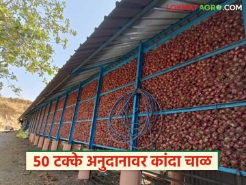कांदा चाळीसाठी भांडवली खर्चाच्या 50 टक्के अनुदान मिळतंय, पात्रता निकष अन् अर्ज कसा करावा?