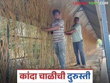 Kanda Chal : कांदा अधिक काळ टिकवण्यासाठी अशी करा चाळ दुरुस्ती, 'हे' साहित्य वापरा - Marathi News | Latest news Repair of kanda chal for onion storage Use these ingredient see details | Latest News at Lokmat.com Kanda Chal : कांदा अधिक काळ टिकवण्यासाठी अशी करा चाळ दुरुस्ती, 'हे' साहित्य वापरा - Marathi News | Latest news Repair of kanda chal for onion storage Use these ingredient see details | Latest News at Lokmat.com