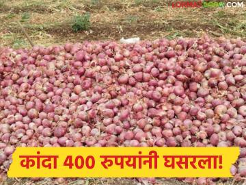 महिनाभरात कांदा भावात 400 रुपयांची घसरण, पुढील दोन आठवड्यात दर वाढतील का?  - Marathi News | Latest news kanda market Onion prices fall by Rs 400 in month, will prices increase in the next two weeks | Latest News at Lokmat.com