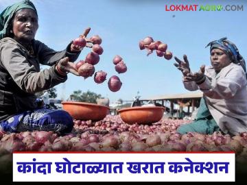 कांदा घोटाळ्यात खरात कनेक्शन, फार्मर कंपनीत सपत्नीक संचालक, 'त्या' कंपनीची SIT कडून चौकशी - Marathi News | Latest news Kharat connection in onion scam, wife director in farmer Farmer producer company | Latest farming-ideas News at Lokmat.com