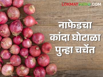 Agriculture News : मराठा-कुणबी महासभा अधिवेशनात नाफेडचा कांदा घोटाळा गाजणार, वाचा सविस्तर - Marathi News | Latest News Agriculture News Onion Scam of NAFED will be heard in Maratha-Kunbi Mahasabha session, read in detail | Latest News at Lokmat.com Agriculture News : मराठा-कुणबी महासभा अधिवेशनात नाफेडचा कांदा घोटाळा गाजणार, वाचा सविस्तर - Marathi News | Latest News Agriculture News Onion Scam of NAFED will be heard in Maratha-Kunbi Mahasabha session, read in detail | Latest News at Lokmat.com