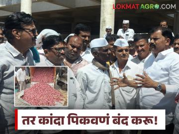 Nashik Onion Farmers : आम्ही कांदा पिकवणं बंद करतो, सरकारने तो पिकवावा, ग्राहकांना वाटावा! - Marathi News | Latest News Nashik Onion Farmers So we stop onion farming, Nashik farmers are aggressive on kanda market | Latest News at Lokmat.com Nashik Onion Farmers : आम्ही कांदा पिकवणं बंद करतो, सरकारने तो पिकवावा, ग्राहकांना वाटावा! - Marathi News | Latest News Nashik Onion Farmers So we stop onion farming, Nashik farmers are aggressive on kanda market | Latest News at Lokmat.com