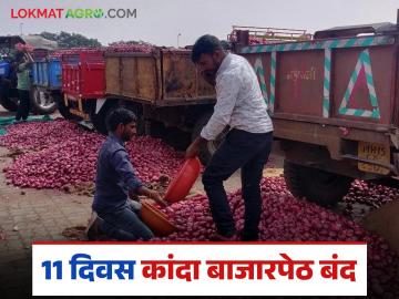 दिवाळीनिमित्त काही कांदा बाजारपेठ बंद, वसुबारसेला निवडक बाजारात काय दर मिळाले? दिवाळीनिमित्त काही कांदा बाजारपेठ बंद, वसुबारसेला निवडक बाजारात काय दर मिळाले?