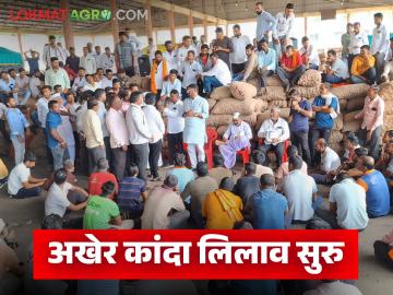 या कारणाने माथाडी कामगार आंदोलन स्थगित; नगर मधील बाजार समितीचे कांदा लिलाव पुन्हा सुरळीत सुरू - Marathi News | Mathadi workers strike suspended for this reason; Onion auction of the market committee in the city resumed smoothly | Latest News at Lokmat.com या कारणाने माथाडी कामगार आंदोलन स्थगित; नगर मधील बाजार समितीचे कांदा लिलाव पुन्हा सुरळीत सुरू - Marathi News | Mathadi workers strike suspended for this reason; Onion auction of the market committee in the city resumed smoothly | Latest News at Lokmat.com