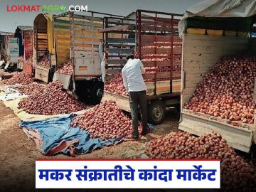 Kanda Market : मकर संक्रातीला पहिल्यांदा 'या' मार्केटला लाल कांदा आला, भाव काय मिळाला! - Marathi News | Latest news Kanda bajarbhav On makar sankrati Red onion arrives at Amravati market | Latest News at Lokmat.com