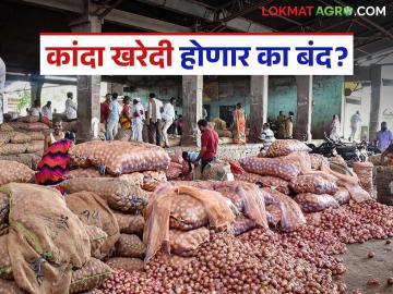 राज्यातील या बाजार समित्यांमध्ये कांदा खरेदी-विक्री रात्रीपासून ठप्प; काय आहे कारण? - Marathi News | Onion buying and selling has been halted since night in these market committees in the state; What is the reason? | Latest News at Lokmat.com राज्यातील या बाजार समित्यांमध्ये कांदा खरेदी-विक्री रात्रीपासून ठप्प; काय आहे कारण? - Marathi News | Onion buying and selling has been halted since night in these market committees in the state; What is the reason? | Latest News at Lokmat.com