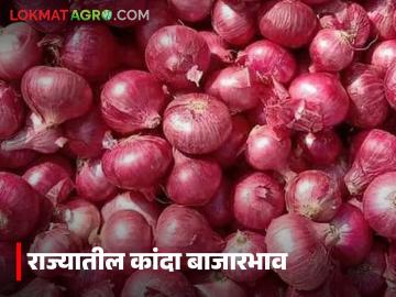 Kanda Market : पुणे, नागपूर, अहिल्यानगर, सोलापूर जिल्ह्यात कांद्याला काय भाव मिळाला, वाचा सविस्तर  - Marathi News | Latest News Kanda Market see onion prices in Pune, Nagpur, Ahilyanagar, Solapur districts | Latest News at Lokmat.com