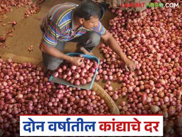 Kanda Market : यंदा आणि मागील वर्षी जुलैपर्यंत कांदा बाजारभाव कसे मिळत गेले? वाचा सविस्तर  - Marathi News | Latest news Kanda Market how was onion market prices till July 2024 and this year till July 2025 Read in detail | Latest News at Lokmat.com