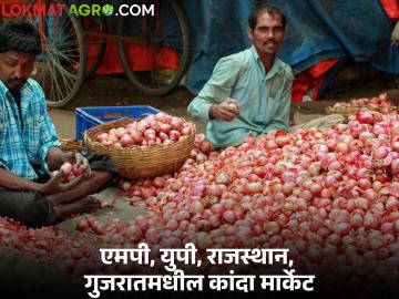 Kanda Market : मध्यप्रदेश, उत्तरप्रदेश, गुजरात, राजस्थानात कांद्याला काय भाव मिळतोय? - Marathi News | Latest news Kanda Market see onion prices in Madhya Pradesh, Uttar Pradesh, Gujarat, Rajasthan | Latest News at Lokmat.com Kanda Market : मध्यप्रदेश, उत्तरप्रदेश, गुजरात, राजस्थानात कांद्याला काय भाव मिळतोय? - Marathi News | Latest news Kanda Market see onion prices in Madhya Pradesh, Uttar Pradesh, Gujarat, Rajasthan | Latest News at Lokmat.com