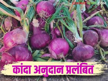 Kanda Anudan : तुमचंही कांदा अनुदान रखडलंय? नाशिकसह 'या' जिल्ह्यांतील शेतकऱ्यांना प्रतीक्षा  - Marathi News | Latest News Kanda Anudan Onion subsidy pending for 9 thousand farmers in Nashik district see details | Latest News at Lokmat.com