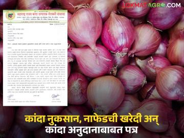 Kanda Nuksan : हजारो टन कांदा शेतातच सडला, तात्काळ नुकसानभरपाई द्या, वाचा सविस्तर  - Marathi News | Latest News Agriculture News Onion damage due to unseasonal rains, demand for compensation | Latest News at Lokmat.com