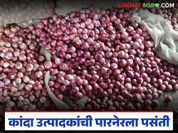कांदा उत्पादकांच्या पसंतीच्या 'या' बाजार समितीत ९४ हजार गोण्यांची आवक; वाचा काय मिळतोय दर? - Marathi News | 94 thousand onion sacks arrive at 'this' market committee, preferred by onion growers; Read what is the price being paid? | Latest market-yard News at Lokmat.com