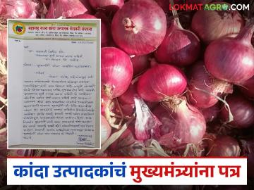 कांदा दर शेतकऱ्यांच्या मुळावर, मुख्यमंत्र्यांनी लासलगावला बैठक घ्या, संघटनेचे आवाहन  - Marathi News | Latest news Onion prices down, Chief Minister fadnavis meeting in Lasalgaon appel from farmers | Latest News at Lokmat.com