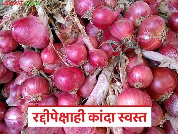 रद्दीपेक्षाही कांदा स्वस्त; निर्यातीत घट, अजून किती दिवस अशी परिस्थिती, भाववाढीसाठी उपाय काय?  - Marathi News | Latest news Kanda Market Onion cheaper than garbage; Exports fall, see solution for price hike | Latest News at Lokmat.com