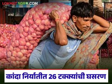 सात महिन्यांमध्ये कांदा निर्यातीत 26 टक्क्यांनी घसरण, परकीय चलन घटले; दरही कोसळले! - Marathi News | Latets News Kanda Market Onion exports drop by 26 percent in seven months, foreign exchange declines | Latest News at Lokmat.com